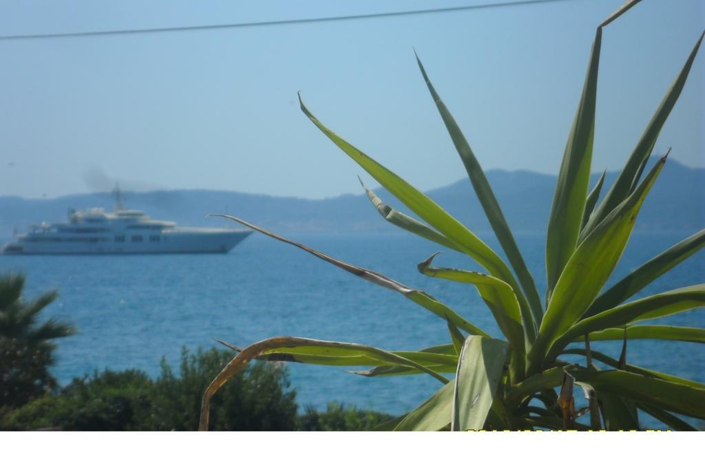 Apartments Nada Zadar Rum bild